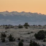 Unknown - 3