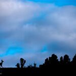 Unknown - 1