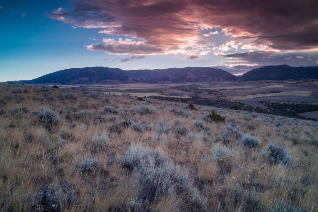 Unknown - 7
