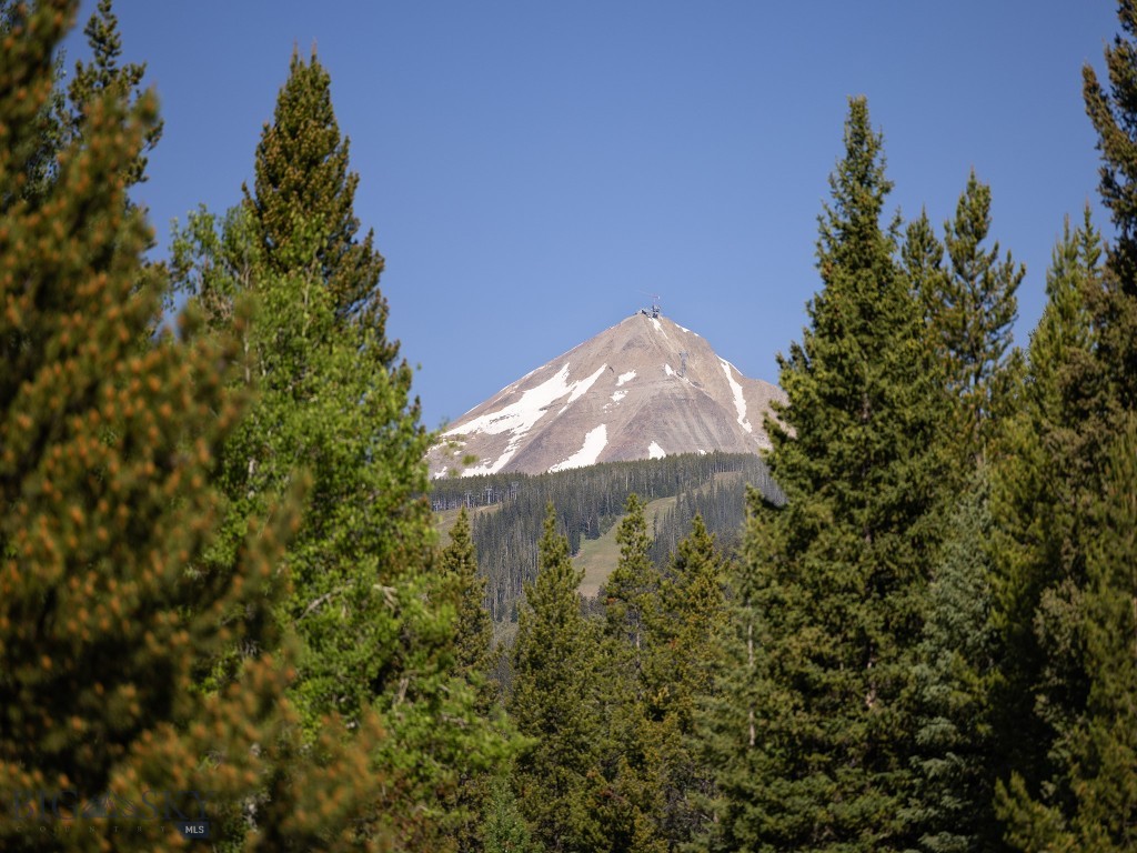 Unknown - 4