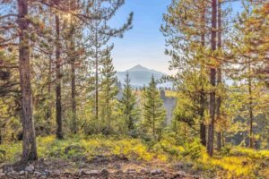 319 Skywood Drive, Big Sky MT 59716