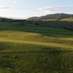 Unknown - 1