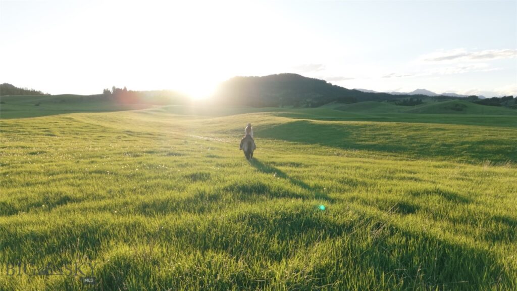 Unknown - 5