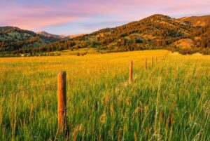 TBD Sypes Canyon Spur Road, Bozeman MT 59715