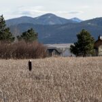 Bozeman MT 59715 - 1