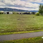 TBD Golden Trout Way