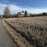 TBD Golden Trout Way