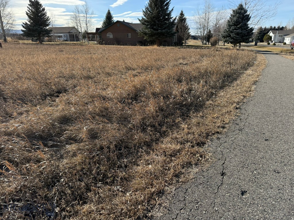 Bozeman MT 59715 - 10