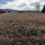 TBD Golden Trout Way