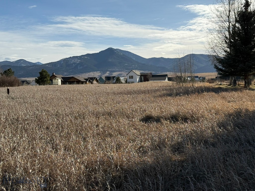 Bozeman MT 59715 - 11