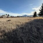 TBD Golden Trout Way