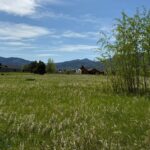TBD Golden Trout Way