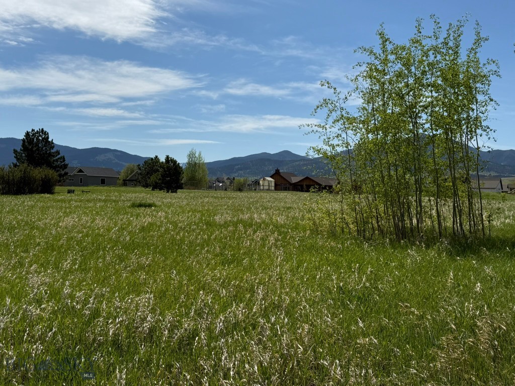 TBD Golden Trout Way
