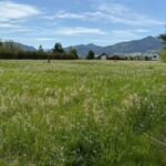 Bozeman MT 59715 - 13