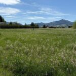 TBD Golden Trout Way