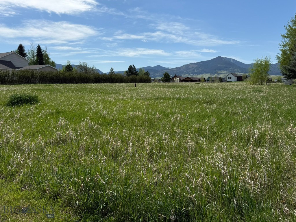 TBD Golden Trout Way