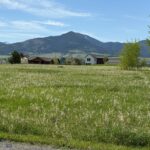 TBD Golden Trout Way