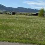 Bozeman MT 59715 - 15
