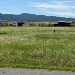 TBD Golden Trout Way