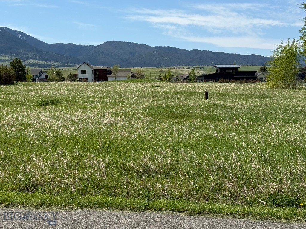 TBD Golden Trout Way