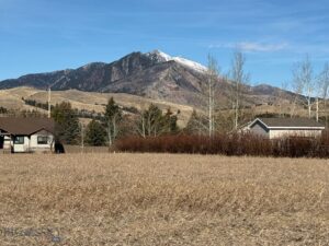 TBD Golden Trout Way, Bozeman MT 59715
