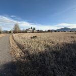 TBD Golden Trout Way