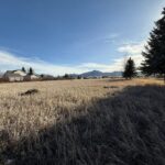 TBD Golden Trout Way