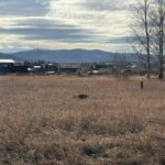 TBD Golden Trout Way