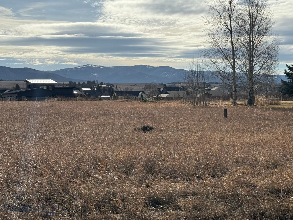 TBD Golden Trout Way