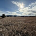 Bozeman MT 59715 - 5