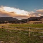 Bozeman MT 59715 - 10