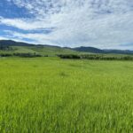 Bozeman MT 59715 - 2