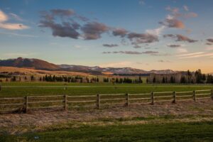 TBD Doney Way, Bozeman MT 59715