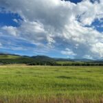 Bozeman MT 59715 - 3