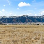 Belgrade MT 59714 - 1