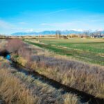 Bozeman MT 59718 - 8