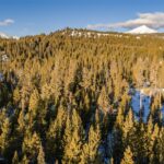 Lot 157 Seclusion Point