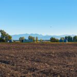 Belgrade MT 59714 - 6