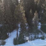 Big Sky MT 59716 - 6