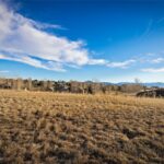 Lot 26 Little Wolf Road