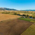 Belgrade MT 59714 - 8