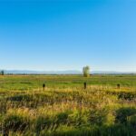 Belgrade MT 59714 - 7
