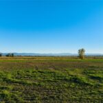 Lot 5 Penwell Bridge Farm