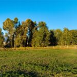 Lot 5 Penwell Bridge Farm