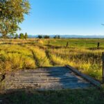 Belgrade MT 59714 - 8