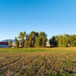 Belgrade MT 59714 - 9