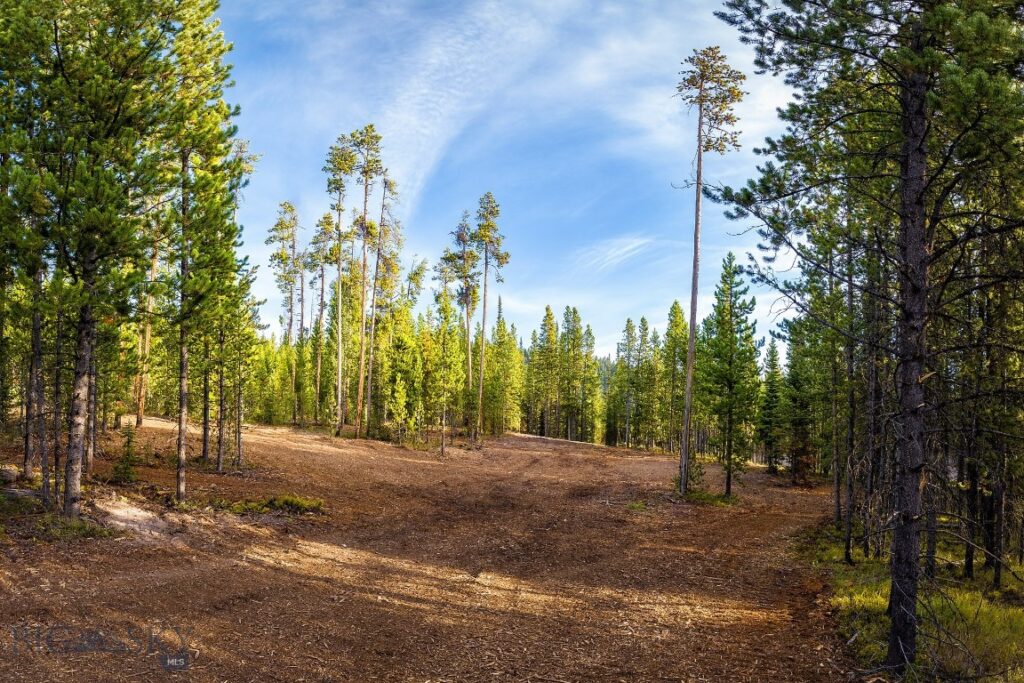 Big Sky MT 59716 - 3