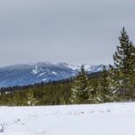 Big Sky MT 59716 - 6