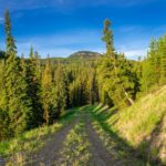 Big Sky MT 59716 - 7