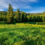 Lot 7 Trout Pond Lane